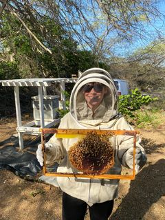 The Aruba Bee Experience