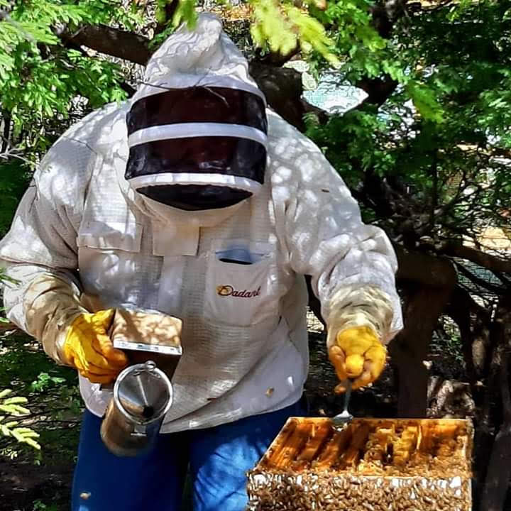 The Aruba Bee Experience
