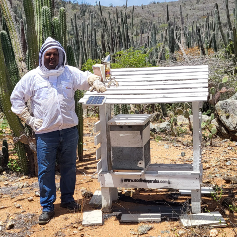 Bee Experience